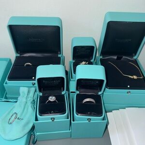 Tiffany & Co. White Gold, Platinum and Gold Jewelry Collection